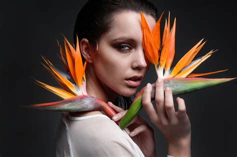 Plant Photography, Editorial Photography, Portrait Photography, Bird Of Paradise Plant, Paradise ...