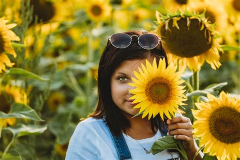 Hanulcik Farm Sunflower Family Photography - Brick Street Studio Blog