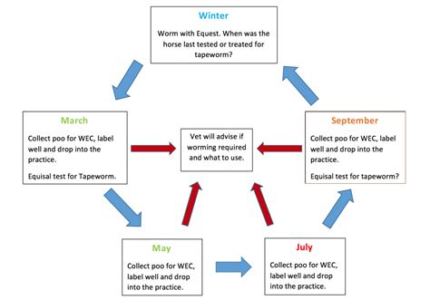 Horse Worming Schedule | Horse Ailments | Southmoor Equine
