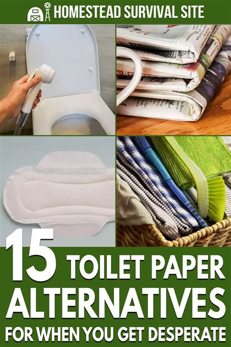 15 Toilet Paper Alternatives For When You Get Desperate in 2020 | Off grid living, Homestead ...