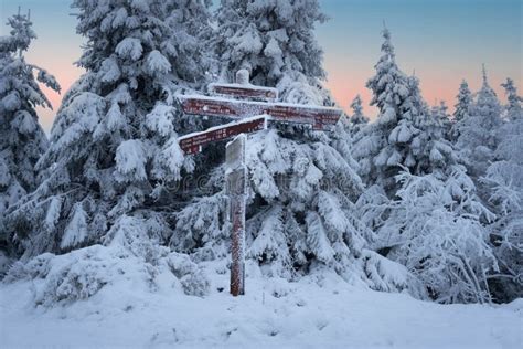 Snowy Forest in Winter in the Harz National Park, Lower Saxony, Germany ...