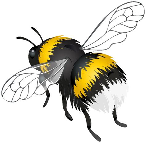 Download High Quality insect clipart bee Transparent PNG Images - Art Prim clip arts 2019