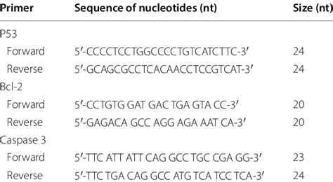 Forward and reverse primer PCR sequences for real-time PCR | Download Scientific Diagram