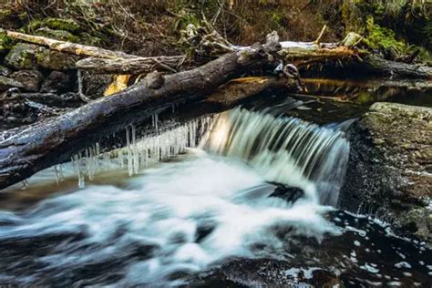 Most Beautiful and Unique Hiking Trails in Indiana - Waking Up Wild | Waking Up Wild