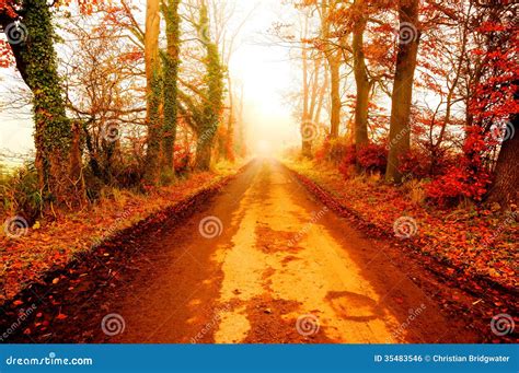 Road in Autumn fog a stock photo. Image of misty, country - 35483546