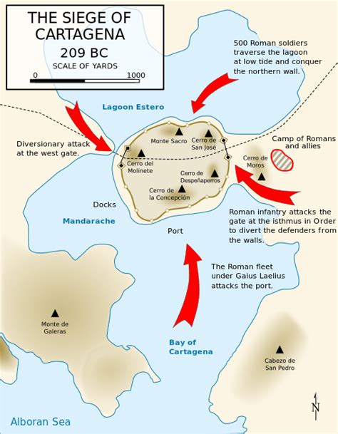 Battle Of Carthage Map