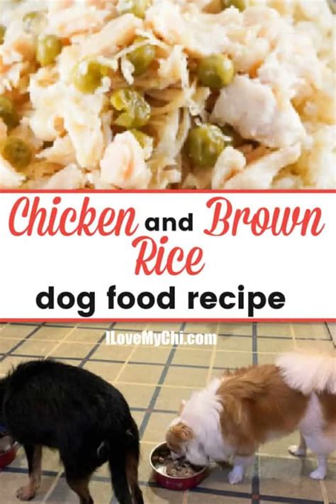 Chicken and Brown Rice Dog Food Recipe - I Love My Chi