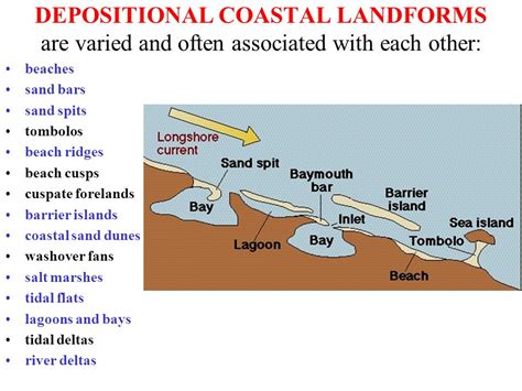 What Coastal Landforms Are Made By Deposition - Design Talk