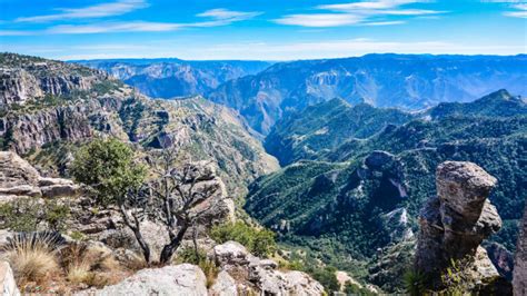 Cómo viajar a las Barrancas del Cobre en México – Mi Viaje