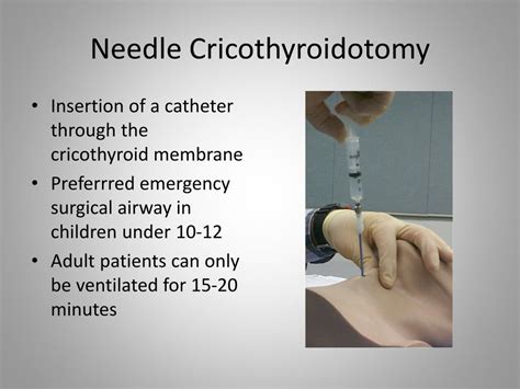 PPT - Surgical Airway Tintinalli Chap 20, 244 PowerPoint Presentation ...