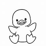 Printable Duck Coloring Pages sketch template