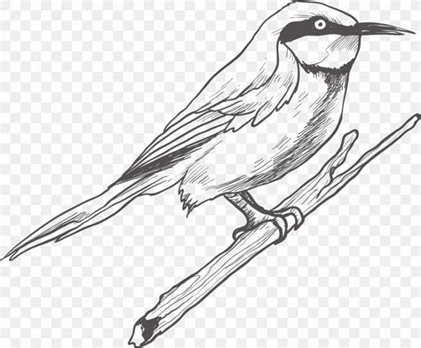 Bird Drawing Sketch, PNG, 3513x2911px, Bird, Art, Beak, Black And White ...