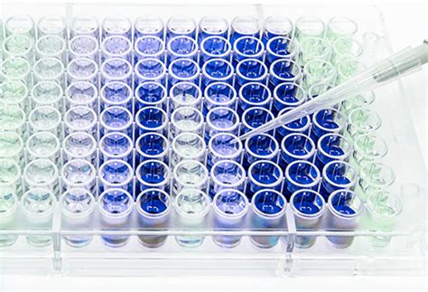 Customizable ELISA Assay Kits - Bioscience Today