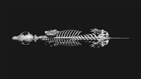 ArtStation - Fox skeleton | Resources