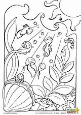 Coloring Pages Printable Ocean sketch template