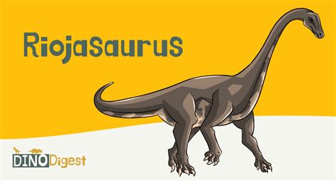 Explore The Riojasaurus, An Early Plant-Eater | Dino Digest