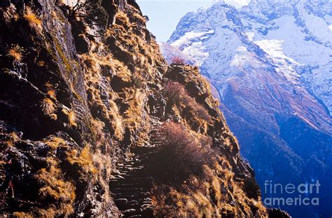 Himalayan Trekking Photograph by THP Creative - Fine Art America