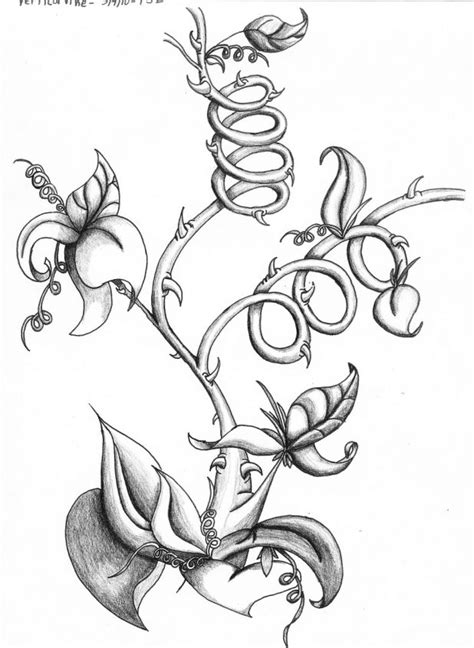 Thorn Vine Drawing at GetDrawings | Free download