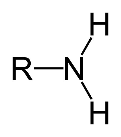 World of Biochemistry (blog about biochemistry): Amino group