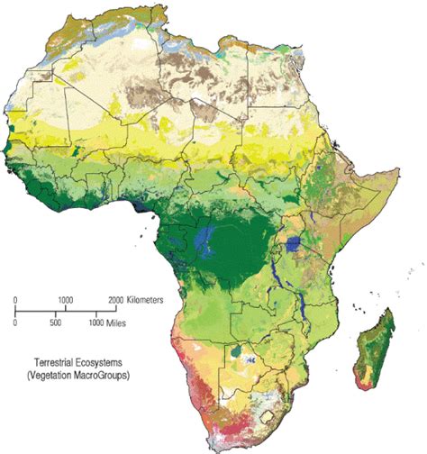 Map of Potential Distribution of Vegetation Macrogroups of Africa | NatureServe