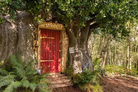 Winnie The Pooh Airbnb: Stay In This Hundred Acre Wood-Inspired House