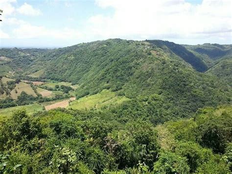 1000+ images about morovis del ayer y hoy , Puerto Rico on Pinterest