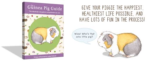 The Guinea Pig Guide - The Ridiculously Cute Guide to Cavy Care