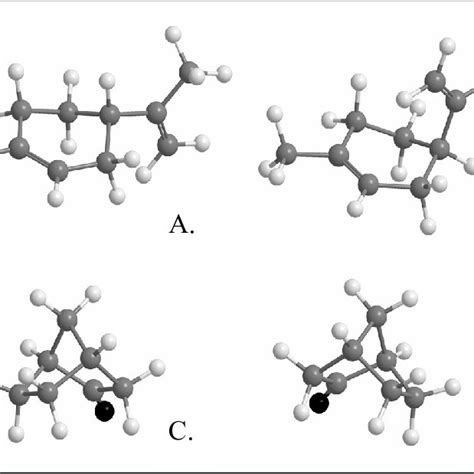 2. Monoterpene enantiomers. A. = R-limonene, B. = S-limonene, C. =... | Download Scientific Diagram