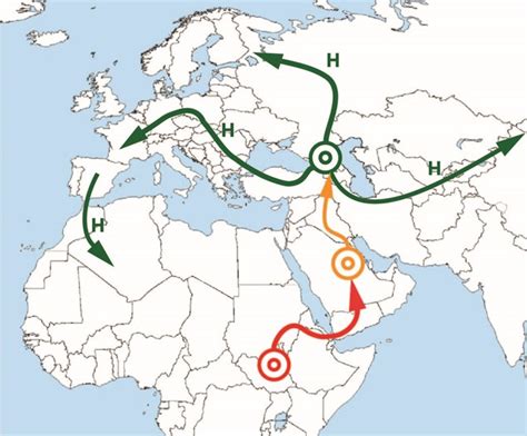 mtDNA Haplogroup H - Your DNA Guide - Diahan Southard