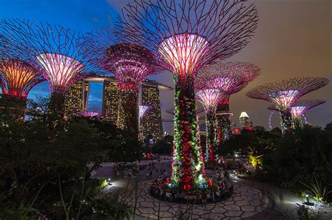 Gardens by the Bay: Supertree Grove Opens till 2am Daily & Entry is Free