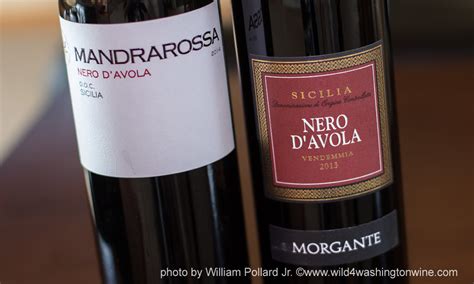 Focus on Nero D' Avola the Grape of Sicilia and Two Sicilian Red Wines