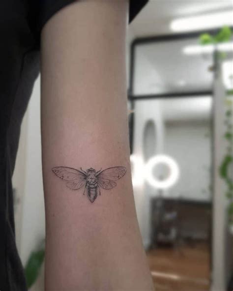 70 Inspiring Cicada Tattoo Ideas