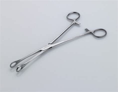 Rampley Sponge Holding Forceps 18cm - Bailey Instruments