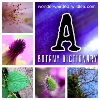 Botany Quotes. QuotesGram