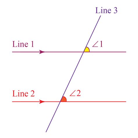 Congruent Angles Definition Theorem Examples Construc - vrogue.co