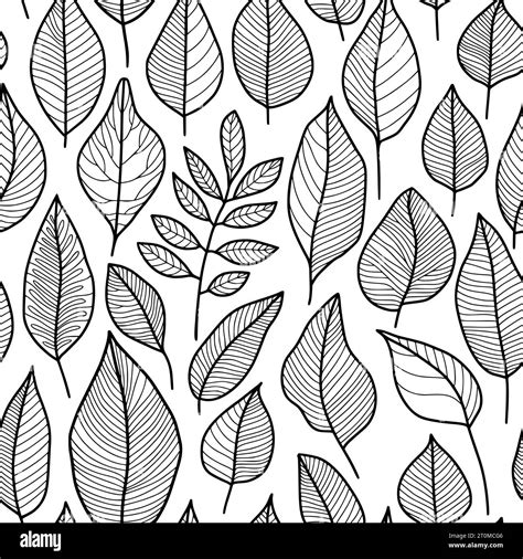 Abstract Leaf Pattern, Black Outline Drawing on a White Background, Floral Repeating Intricate ...