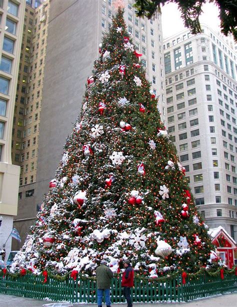 Unveiling the Rich History of Chicago's Official Christmas Tree