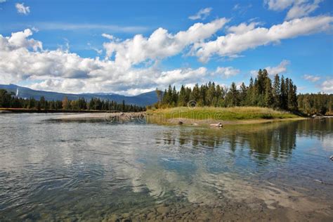 The shallow river stock photo. Image of idyllic, reed - 17245976