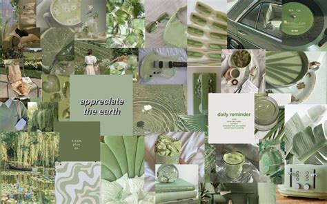 sage green mood board | Sage green wallpaper, Iphone wallpaper tumblr ...