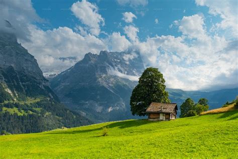 View On Grindelwald Alpine Valley - Stock Photos | Motion Array