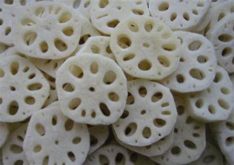 Frozen Lotus Root Slices - China Lotus and Lotus Root