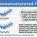 Monounsaturated fat - Definition and Examples - Biology Online Dictionary