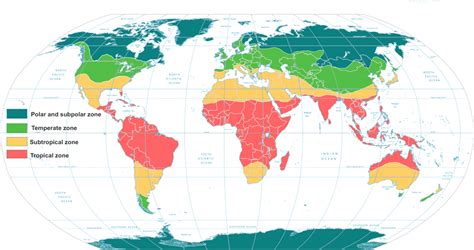 Frontiers | Editorial: Tropical fungal diseases