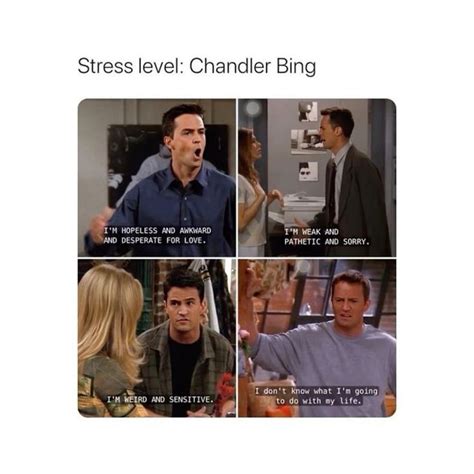 Chandler Bing Being Chandler Bing🚪 | Friend jokes, Friends tv quotes ...