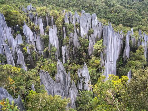 Gunung Mulu National Park — The Adventures of A.T. & M.C.