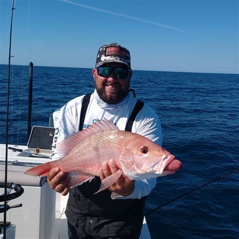 Red Snapper Fishing Charters in Tampa: Best Spots & Guides