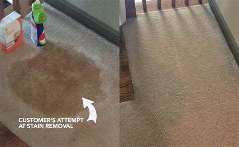 Carpet Cleaning, Area Rug Cleaning Before and After Photos