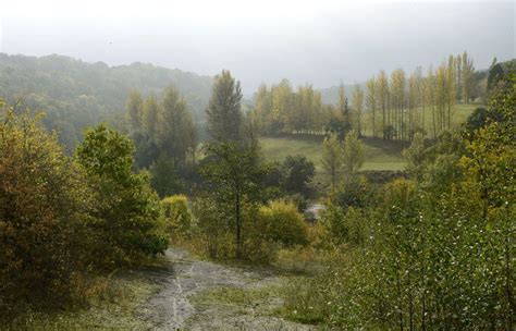 Families invited to mark 50 years since end of mining at Severn Valley Country Park | Shropshire ...