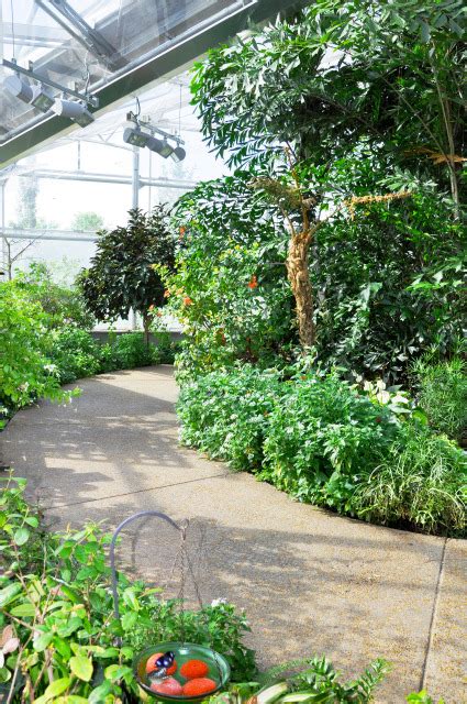 Christina Reiman Butterfly Wing interior at Reiman Gardens - Photostream - Iowa State University