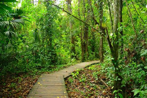 Ultimate Guide to Visiting Tayrona National Park [2024 ]